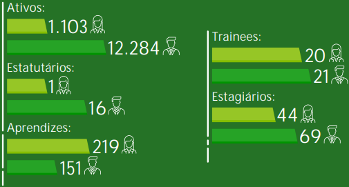 Gráfico mostrando a quantidade de funcionários ativos e categorias de emprego na empresa, com ícones representativos para cada grupo.