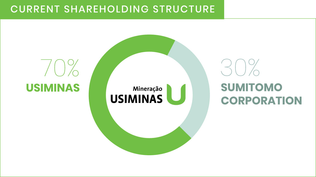 Current shareholding structure