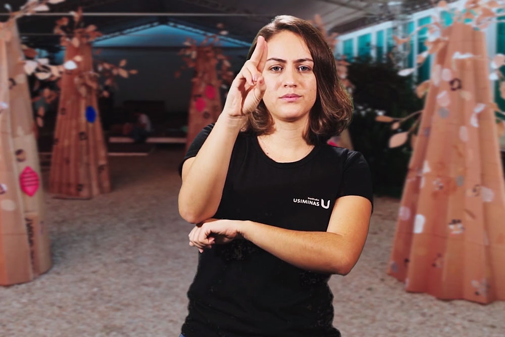 Acessibilidade das ações com libras