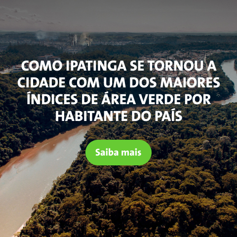 Aqui é o texto alternativo