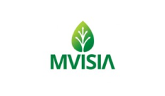 logo mvisia