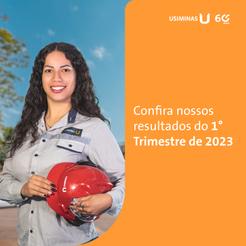 Aqui é o texto alternativo